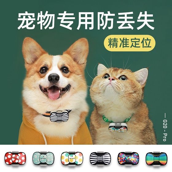 陪彼1.jpg