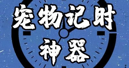 宠物记时神器APP