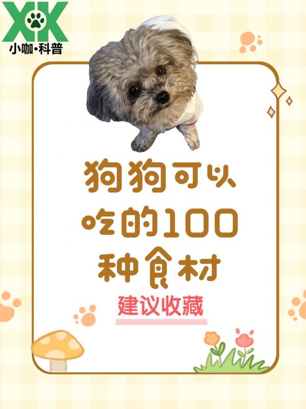 小咖科普｜狗狗可以吃的100种食材。探索狗狗美食世界，今天我们带来的是——【土豆】#狗狗 #科学养宠攻略 #萌宠#小咖科普#小咖鲜食