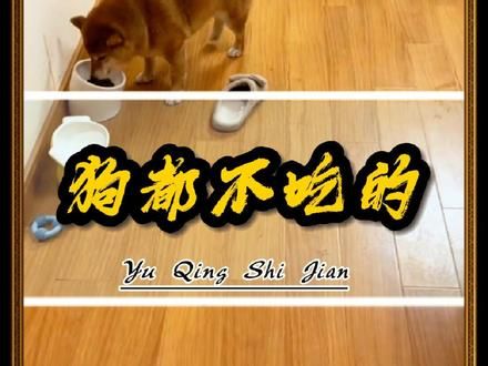 人不如狗系列，狗粮竟然比人吃的零食配料还干净 #离谱 #狗粮 #食品安全 #00后