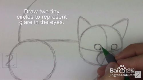 来画超萌猫咪手绘教程
