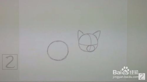 来画超萌猫咪手绘教程