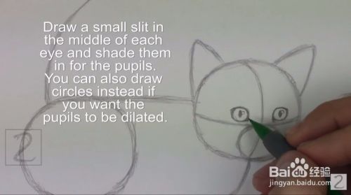 来画超萌猫咪手绘教程