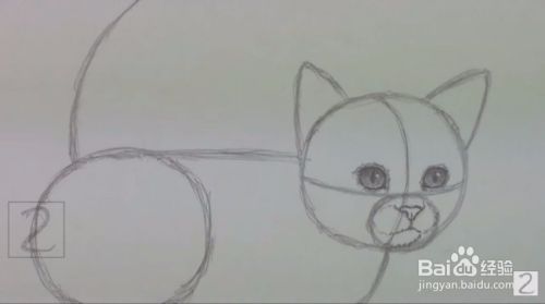 来画超萌猫咪手绘教程