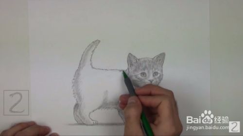 来画超萌猫咪手绘教程