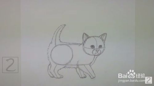 来画超萌猫咪手绘教程