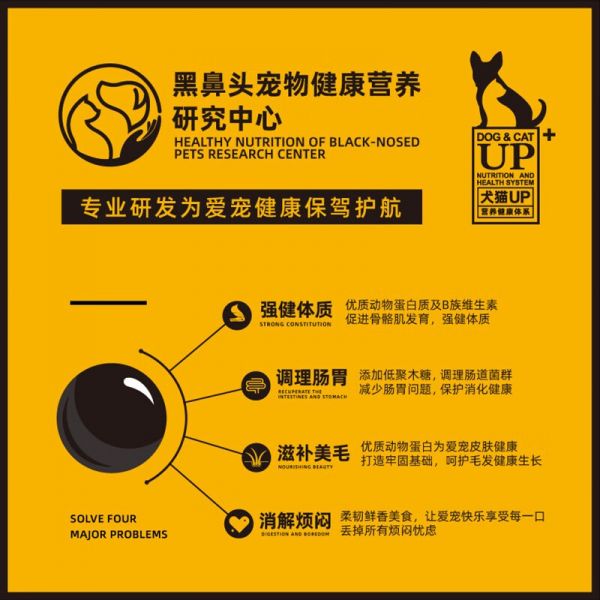 让萌宠更健康，萌宠乐园黑头鼻贴助力宠物护理