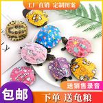 厂家直销乌龟七彩小乌龟观赏龟鳖宠物龟活体地摊展会商超热销货源