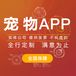 宠物领养软件开发