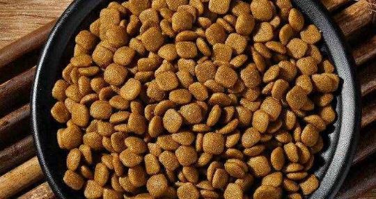 摩森狗粮怎么样？