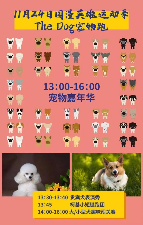 2019上海国漫英雄运动季TheDog宠物跑费用及报名方式