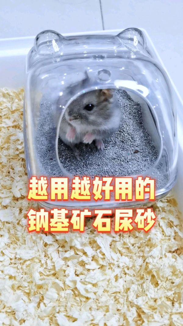 仓鼠用品大全_仓鼠尿砂怎么选_仓鼠必备用品_仓鼠笼推荐_仓鼠尿砂哪种好_仓鼠尿砂品牌推荐_钠基矿石尿砂的好处_仓鼠尿砂使用方法