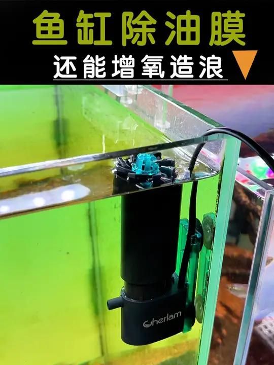 鱼缸除油膜器_鱼缸过滤器_旋转式除油膜_水族箱设备_鱼缸清洁工具_鱼缸养鱼必备_强力除油膜器_养鱼日记好物推荐_鱼缸过滤系统升级_鱼缸清洁保养