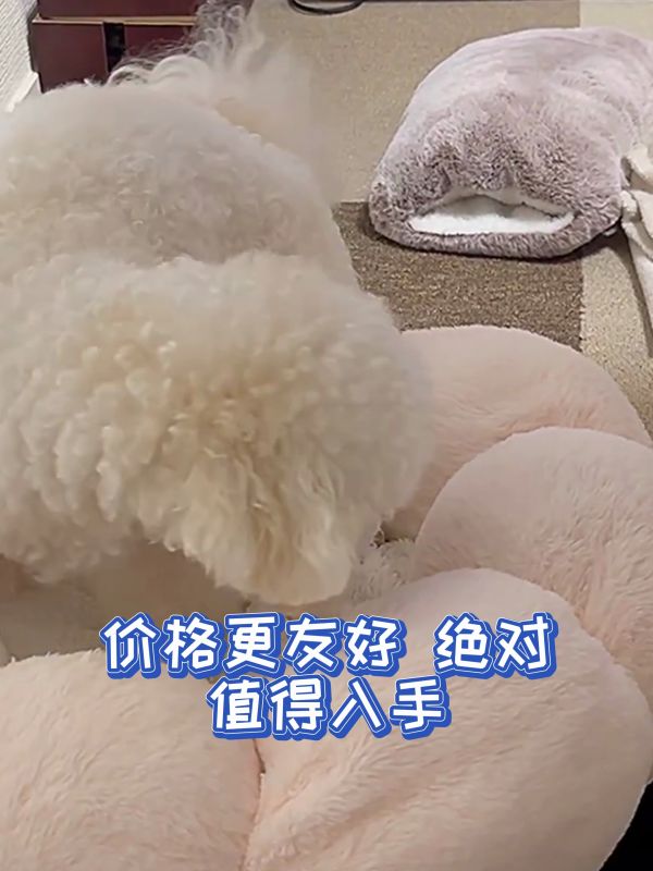 双十一狗粮推荐_顽皮狗粮与麦富迪狗粮对比_鲜朗狗粮价格_双十一宠物用品优惠_狗粮性价比排行_双十一省钱购物攻略_宠物用品优惠券领取_顽皮麦富迪狗粮评价