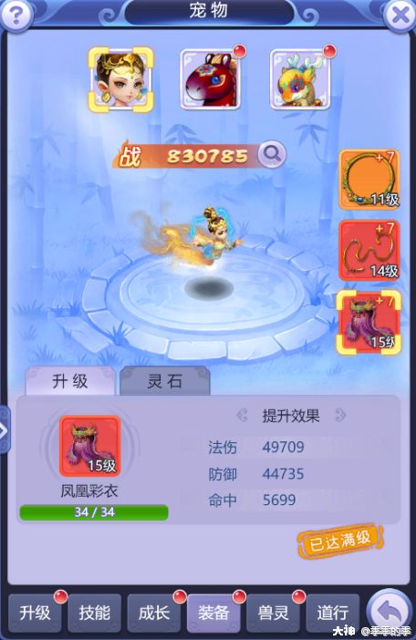 最详细宠物养成攻略！新手必看！_梦幻西游网页版 | 大神
