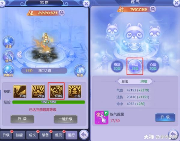 最详细宠物养成攻略！新手必看！_梦幻西游网页版 | 大神