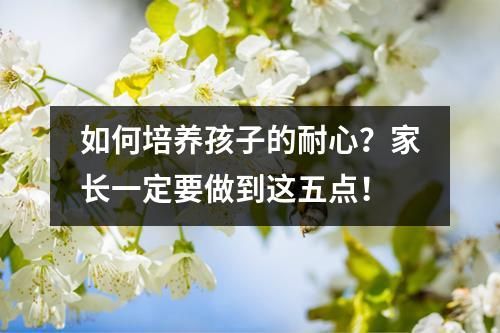 如何培养孩子的耐心？家长一定要做到这五点！