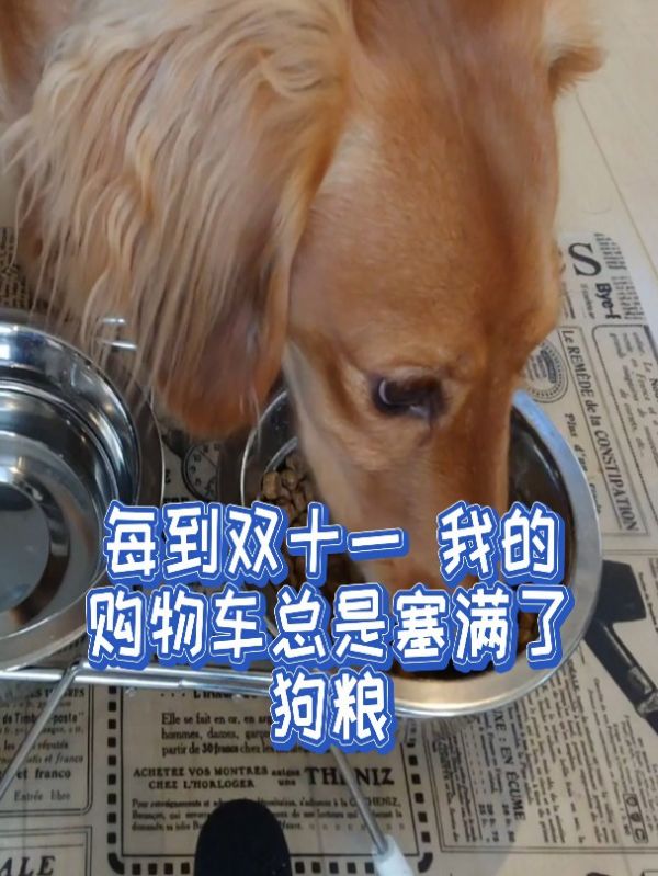 狗粮大促销_麦富迪狗粮活动_顽皮狗粮评测_肉哆哩狗粮价格_双十一猫粮推荐_双十一狗狗用品折扣_养狗成本分析_国产狗粮排名前十_狗狗粮食种类比较_养狗人必备清单