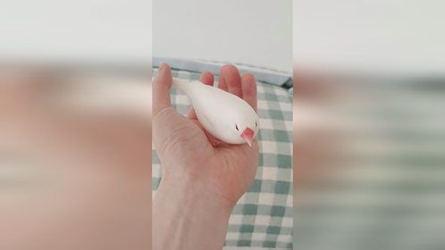 可以握在手心里的糯米团子