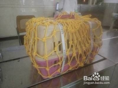 异地养狗怎么带回家