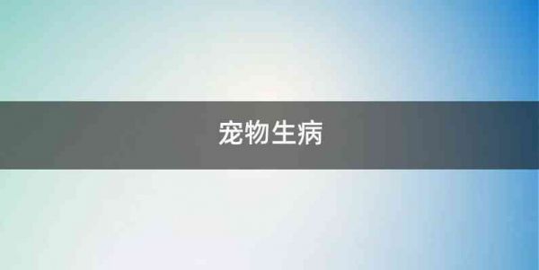 宠物生病