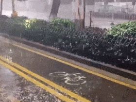 师傅，请问你们货拉拉拉不拉拉布拉多？