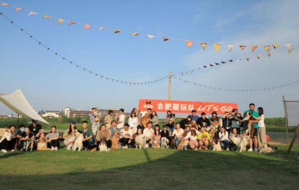 宠物经济火了！在合肥，除了宠物约拍，还有什么“新职业”？