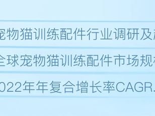 专栏