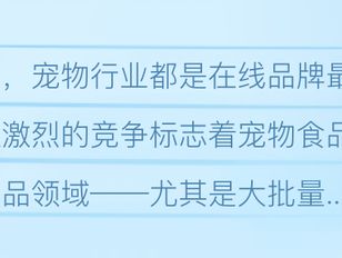 专栏