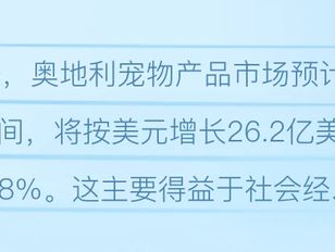 专栏