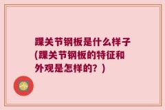 踝关节钢板是什么样子(踝关节钢板的特征和外观是怎样的？)