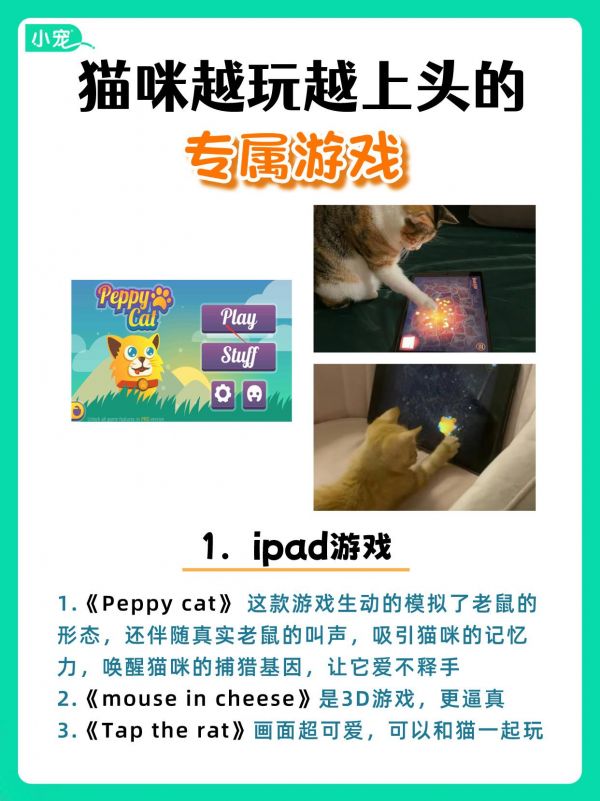 超上瘾！这些游戏猫咪玩到停不下来！快让你家小猫试试看，这些专属游戏猫咪喜欢玩吗？ #猫咪游戏 #猫咪 #猫咪成精 #小宠医师 #图文伙伴计划2024