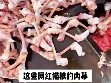 双11就这几天了,还有养猫人不知道这几个猫粮瓜吗? 千万别给猫咪囤错了猫粮!#新手养猫 #猫粮避雷 #科学养宠攻略 #囤货 #养猫经验分享
