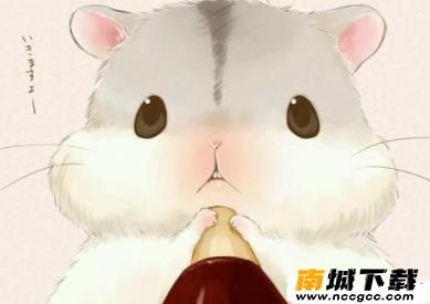 翻滚吧仓鼠宝宝v1.4.2