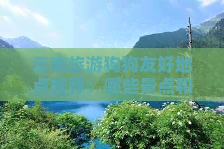 云南旅游狗狗友好地点推荐：哪些景点和酒店可以带宠物？