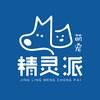 济南精灵派宠游团