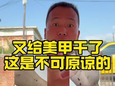 怀念曾经的66 #潘宏爱玩狗 #养狗经验分享 #动物的迷惑行为 #狗狗 #抖音萌宠