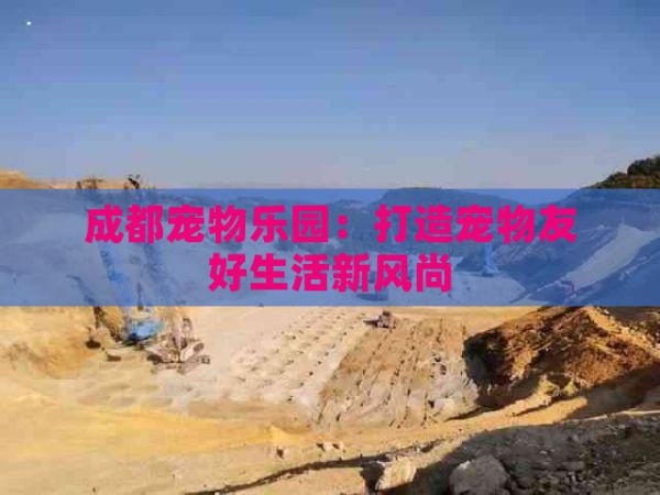 成都宠物乐园：打造宠物友好生活新风尚