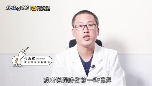 被自己家的猫抓伤出血怎么办