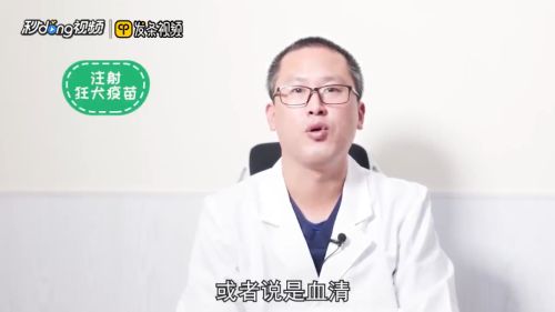 被自己家的猫抓伤出血怎么办