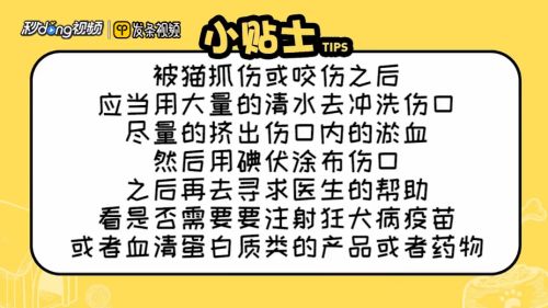 被自己家的猫抓伤出血怎么办