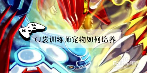 口袋训练师宠物如何培养？