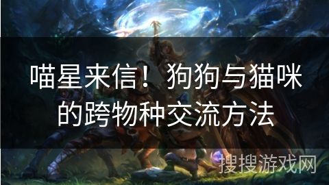 喵星来信！狗狗与猫咪的跨物种交流方法