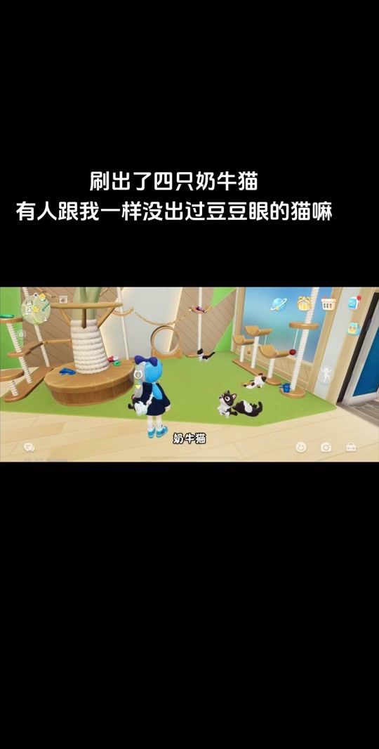 宠物猫该怎么驯养_宠物猫的训练技巧_宠物猫技巧训练大全
