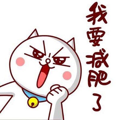 能带宠物的减肥训练营