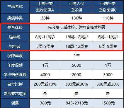 宠物保险公司的名称，宠物保险公司的名称怎么取