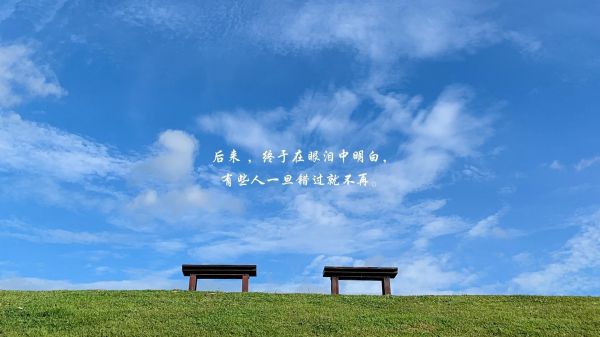 宠物医院在线咨询-宠物医院免费咨询