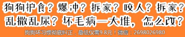 狗狗如何变乖