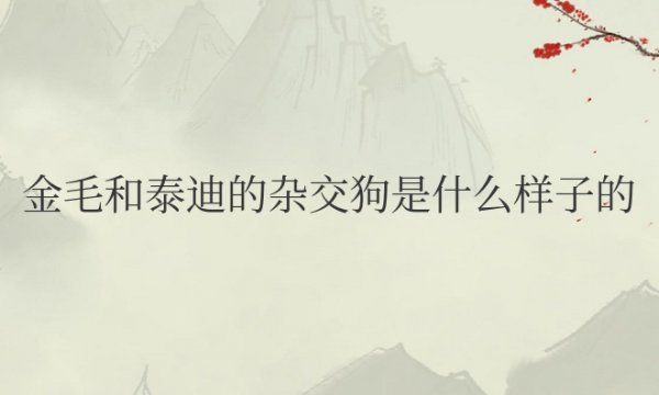 金毛和泰迪的杂交狗是什么样子的