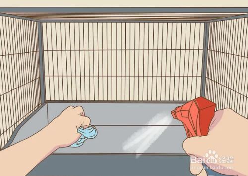 如何消除屋内的宠物味道